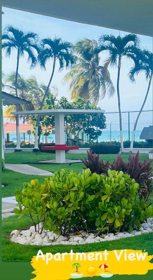 Isla Verde Frente A La Playa Y Piscina, Centrico Y Accesible Сан-Хуан Экстерьер фото